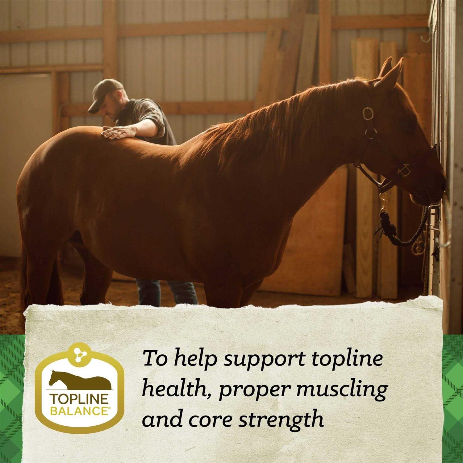 Nutrena SafeChoice Mare & Foal Feed - Image 5