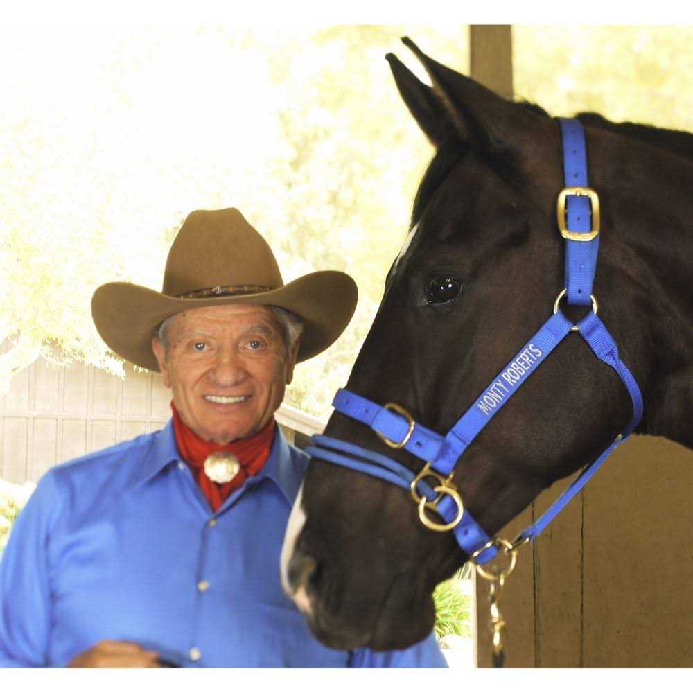 Monty Roberts Dually Schooling Halter - Image 4