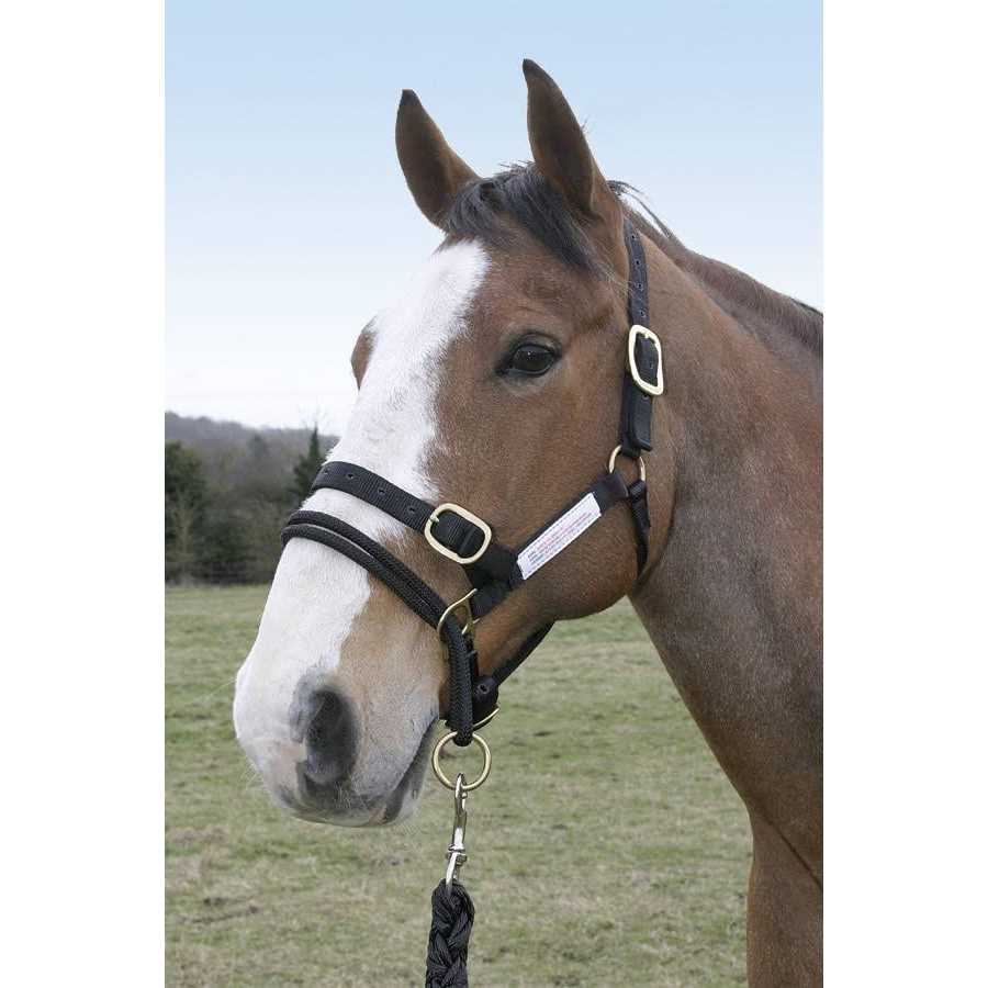 Monty Roberts Dually Schooling Halter - Image 5