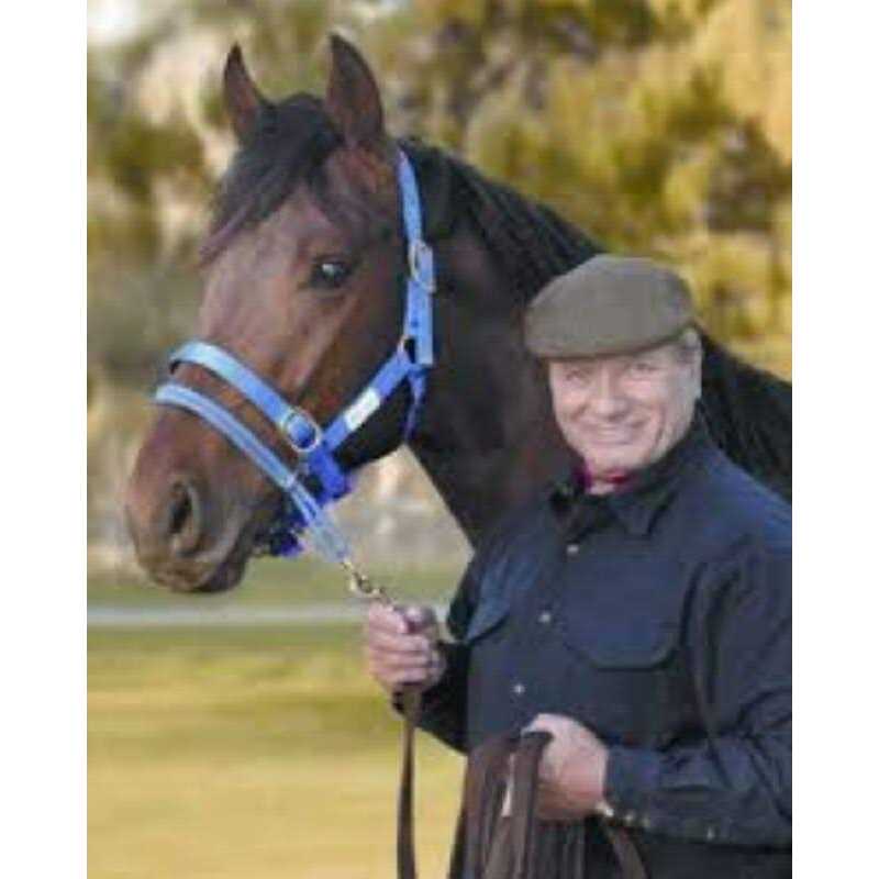 Monty Roberts Dually Schooling Halter - Image 2