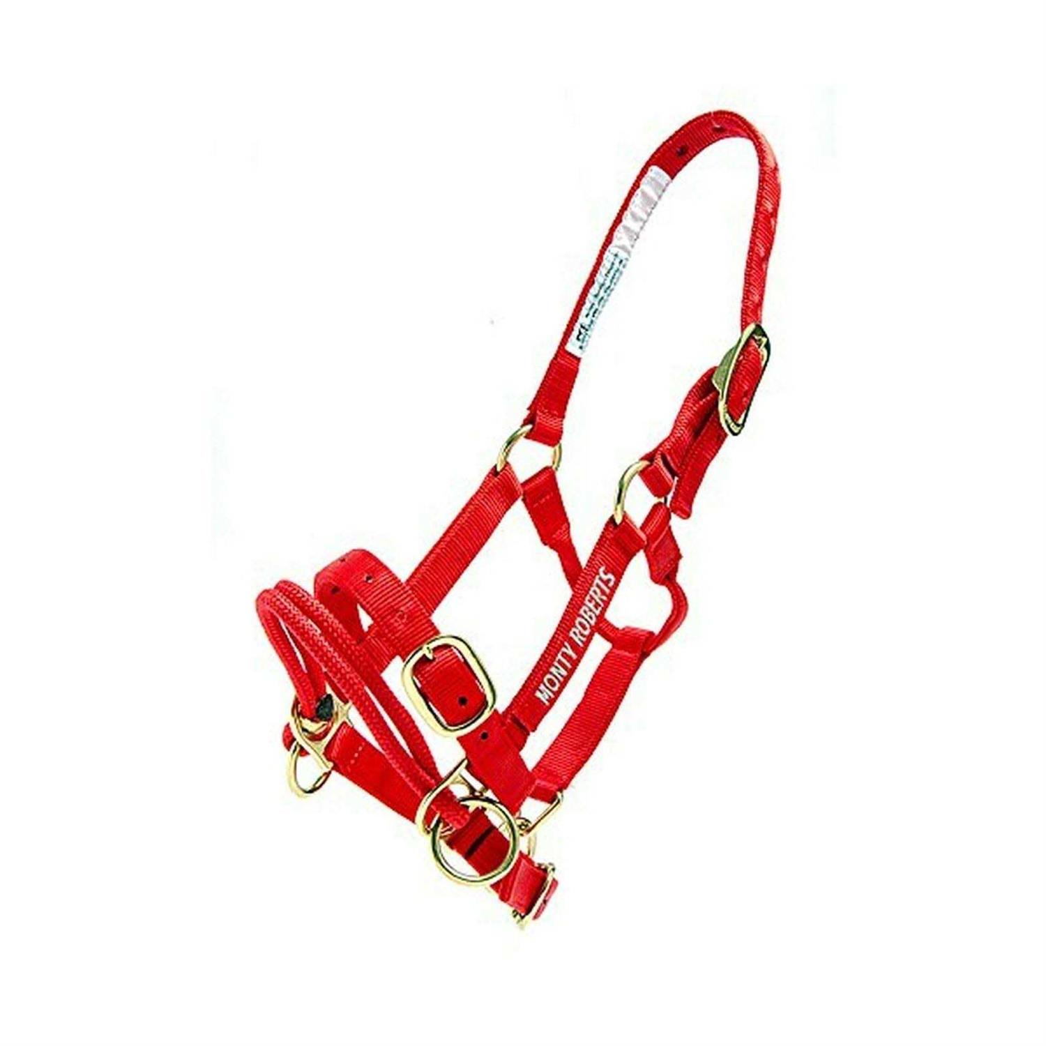 Monty Roberts Dually Schooling Halter - Image 3