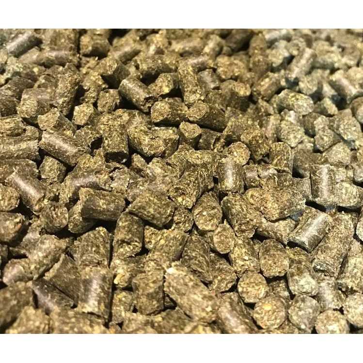 Equithrive Vitamin E Pellets - Image 4