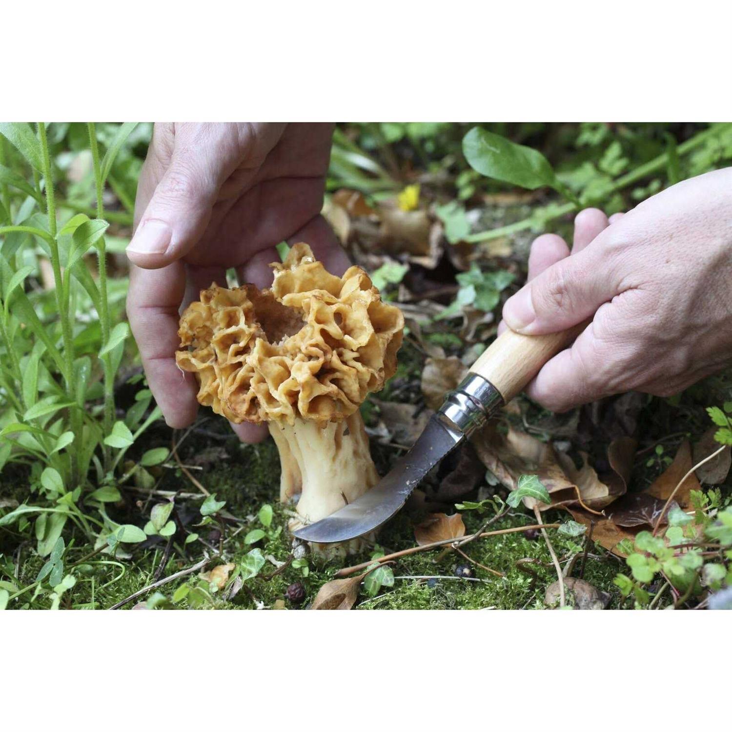 Opinel No. 8 Mushroom Knife Khaki - Image 5