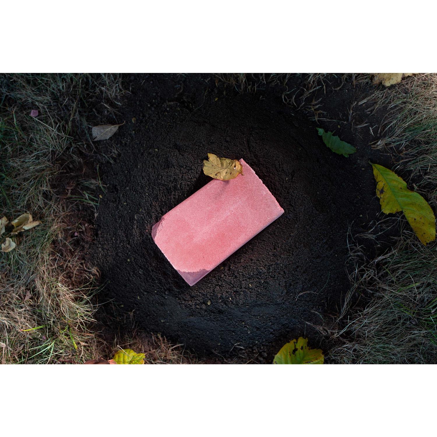 Wildgame Innovations Apple Crush Salt Block - Image 4