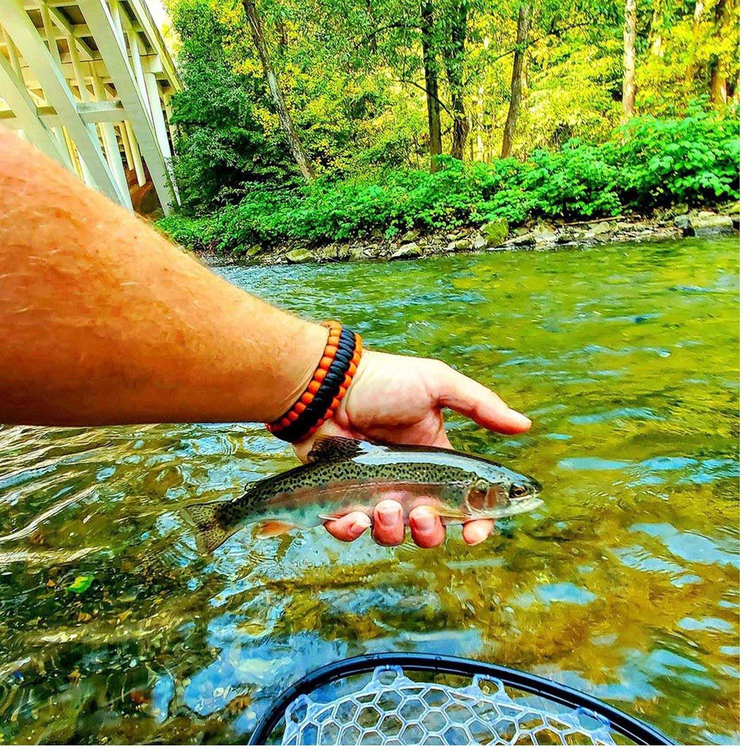 Aventik Fly Floating Fishing Net Carbon Fiber Landing Trout Net Light Weight Clear Rubber Ghost Net Catch & Release Net - Image 4