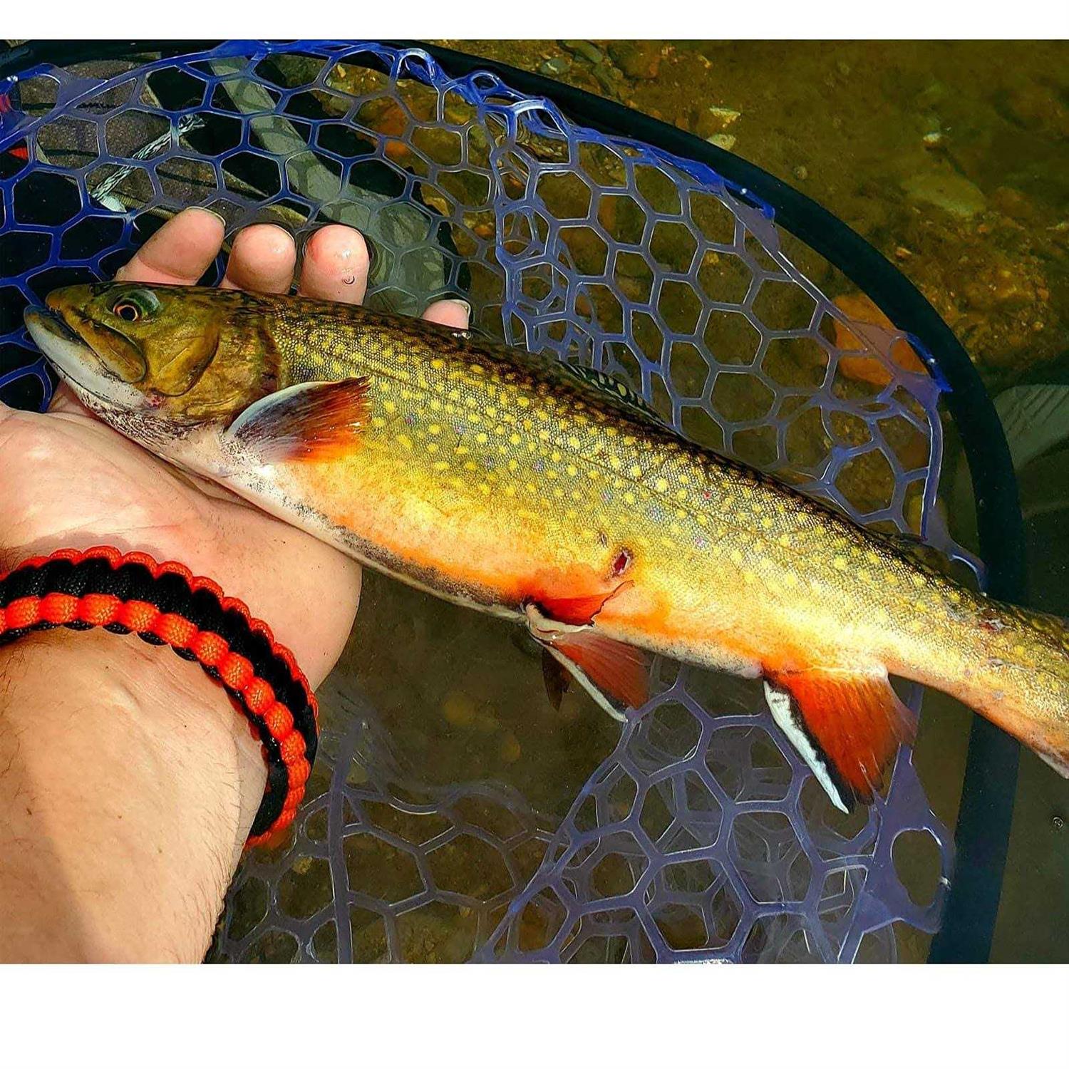 Aventik Fly Floating Fishing Net Carbon Fiber Landing Trout Net Light Weight Clear Rubber Ghost Net Catch & Release Net - Image 5