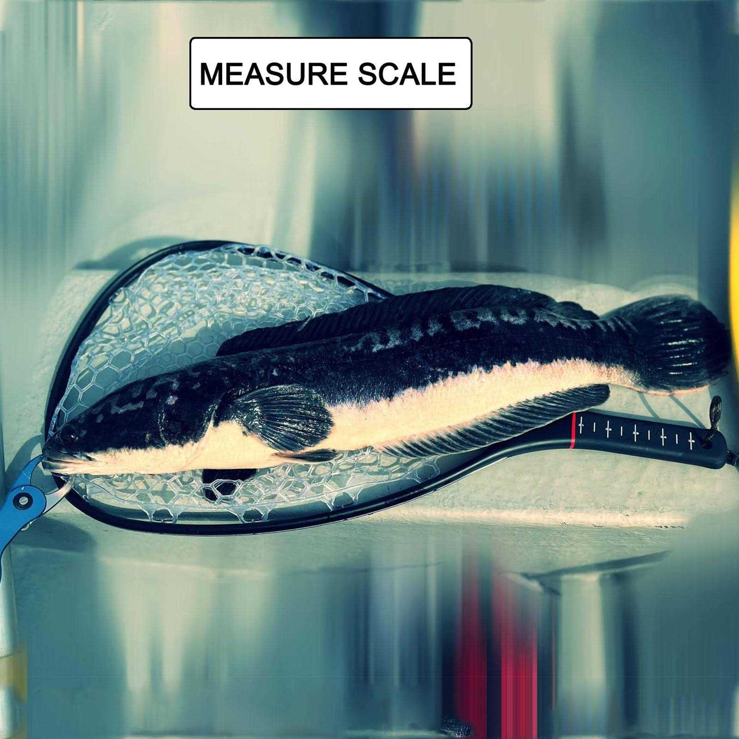 Aventik Fly Floating Fishing Net Carbon Fiber Landing Trout Net Light Weight Clear Rubber Ghost Net Catch & Release Net - Image 3