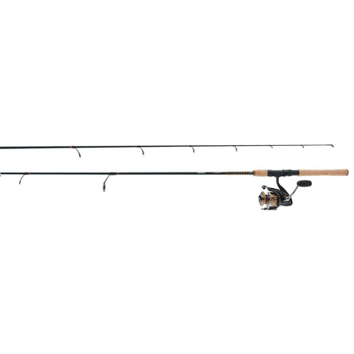 Daiwa BG Saltwater Spinning Combo - Image 3