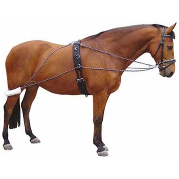 Waldhausen Lunging System - Image 5