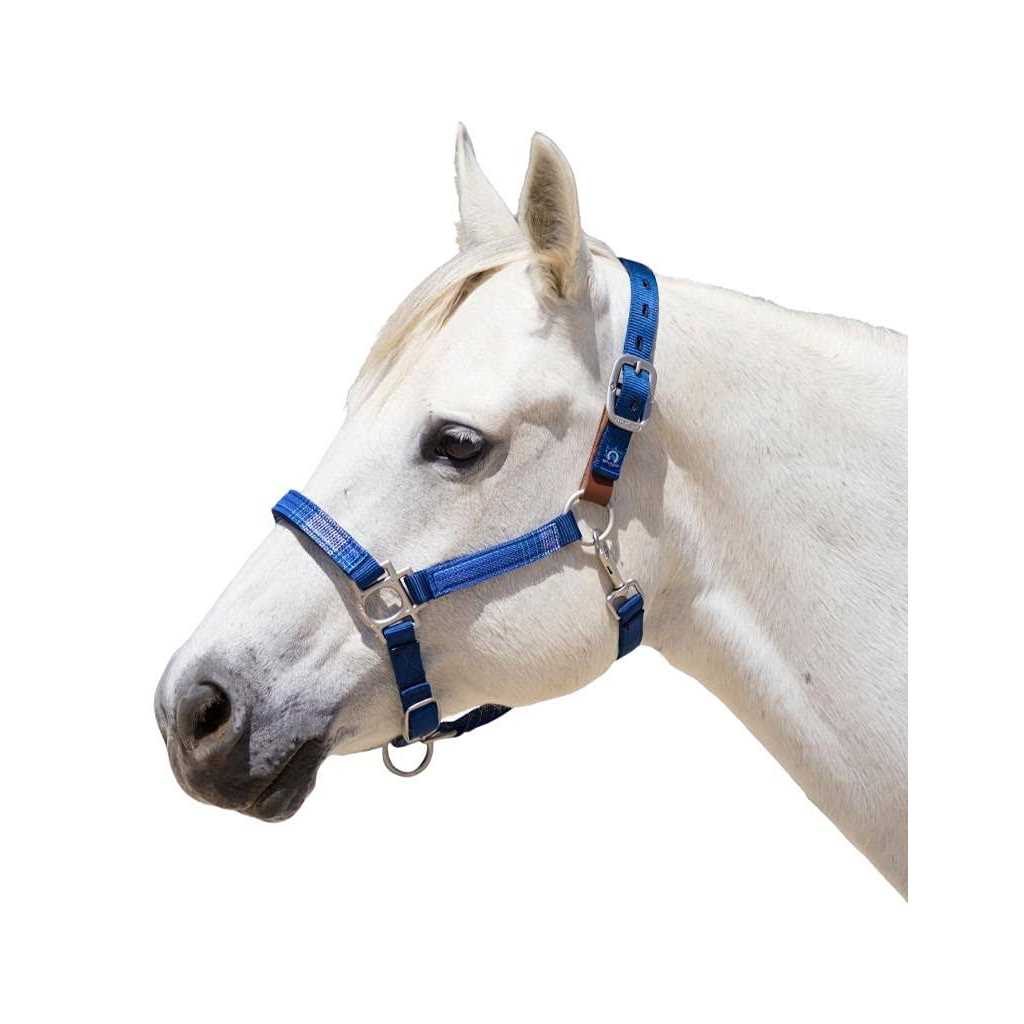 Kensington Premium Breakaway Halter - Image 2