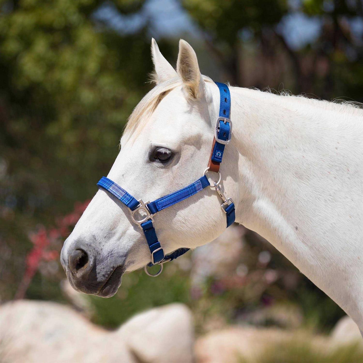 Kensington Premium Breakaway Halter