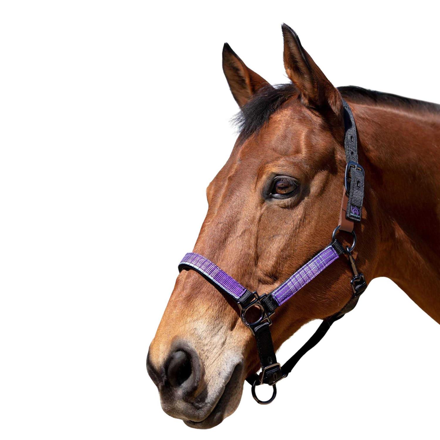 Kensington Premium Breakaway Halter - Image 2
