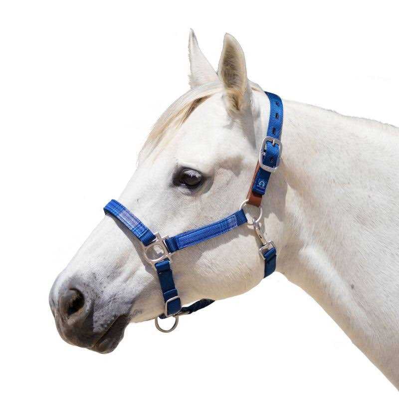 Kensington Premium Breakaway Halter - Image 4
