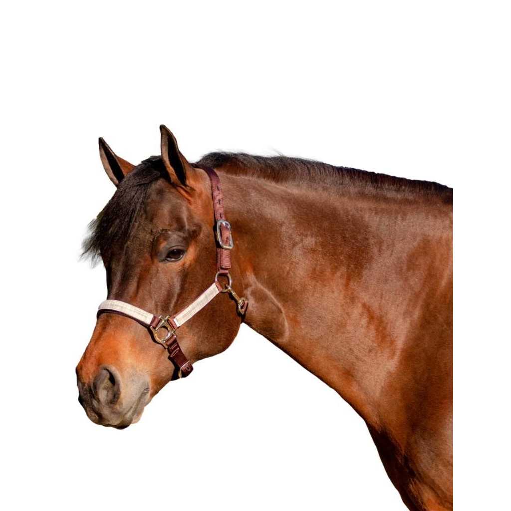 Kensington Premium Breakaway Halter - Image 2