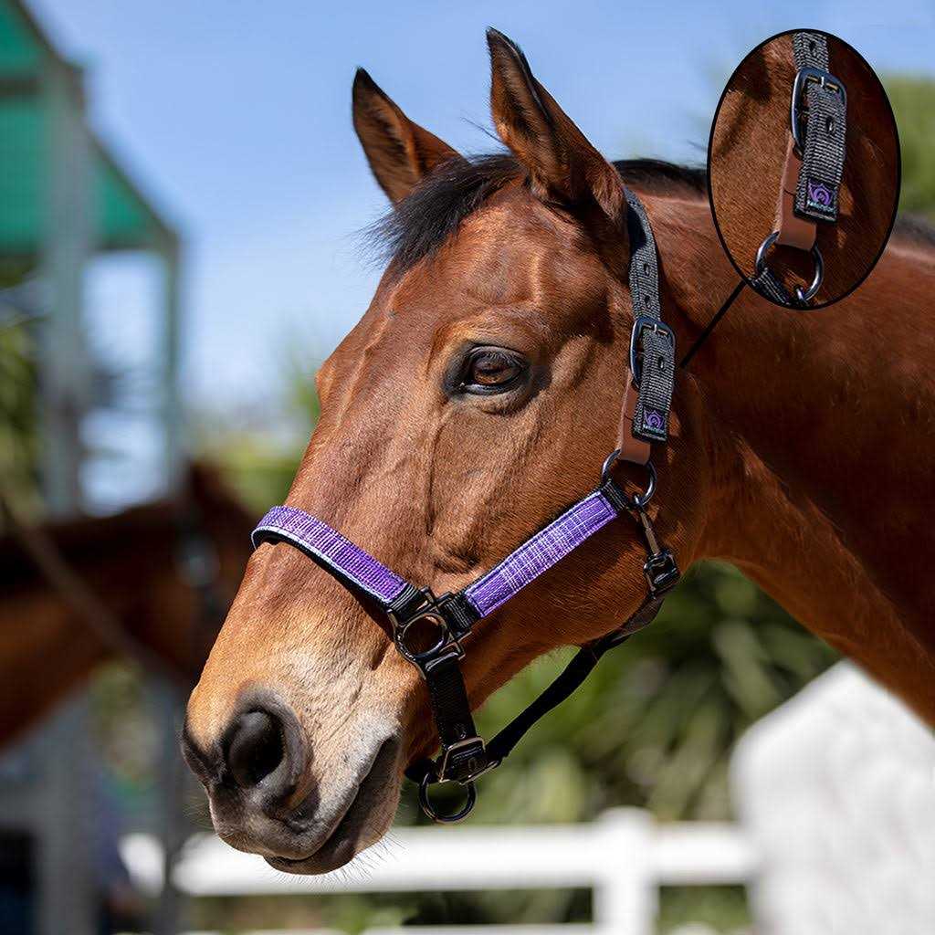 Kensington Premium Breakaway Halter - Image 5