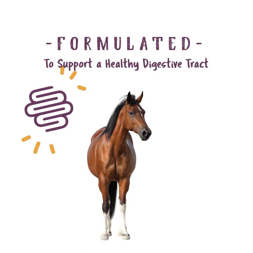 Manna Pro Opti-Zyme Digestive Supplement - Image 5