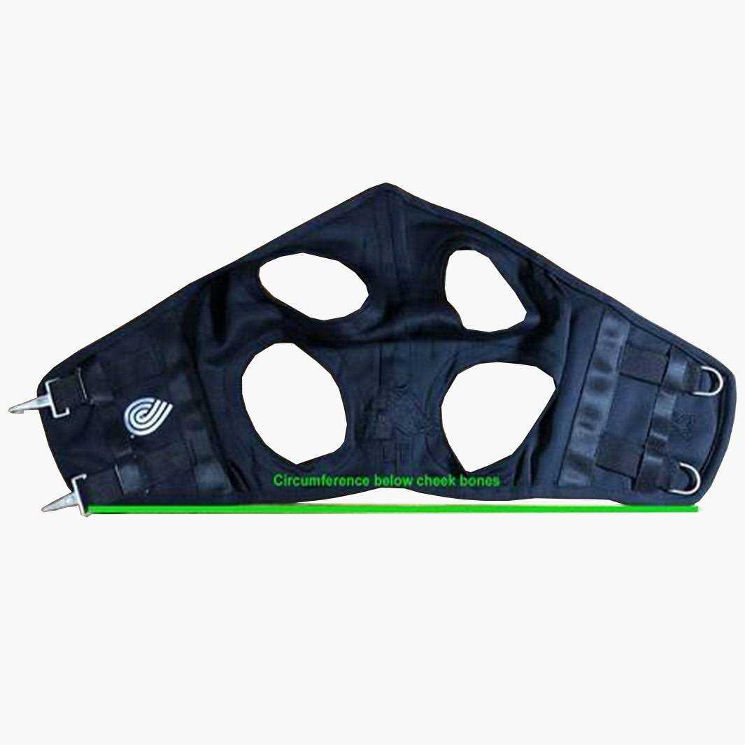 Fenwick Liquid Titanium Horse Mask - Image 3