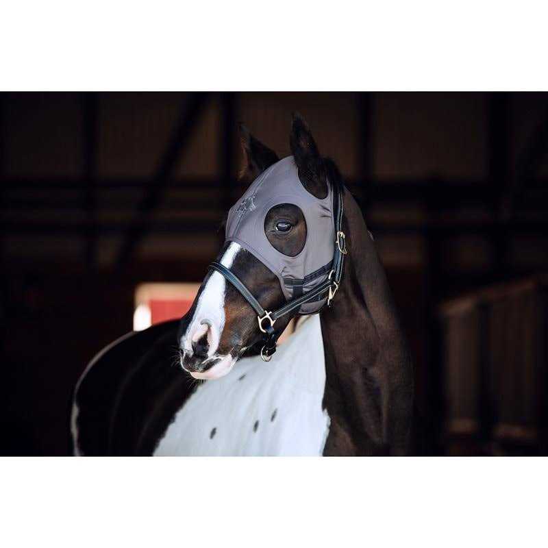 Fenwick Liquid Titanium Horse Mask - Image 2