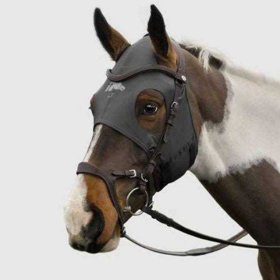 Fenwick Liquid Titanium Horse Mask - Image 4