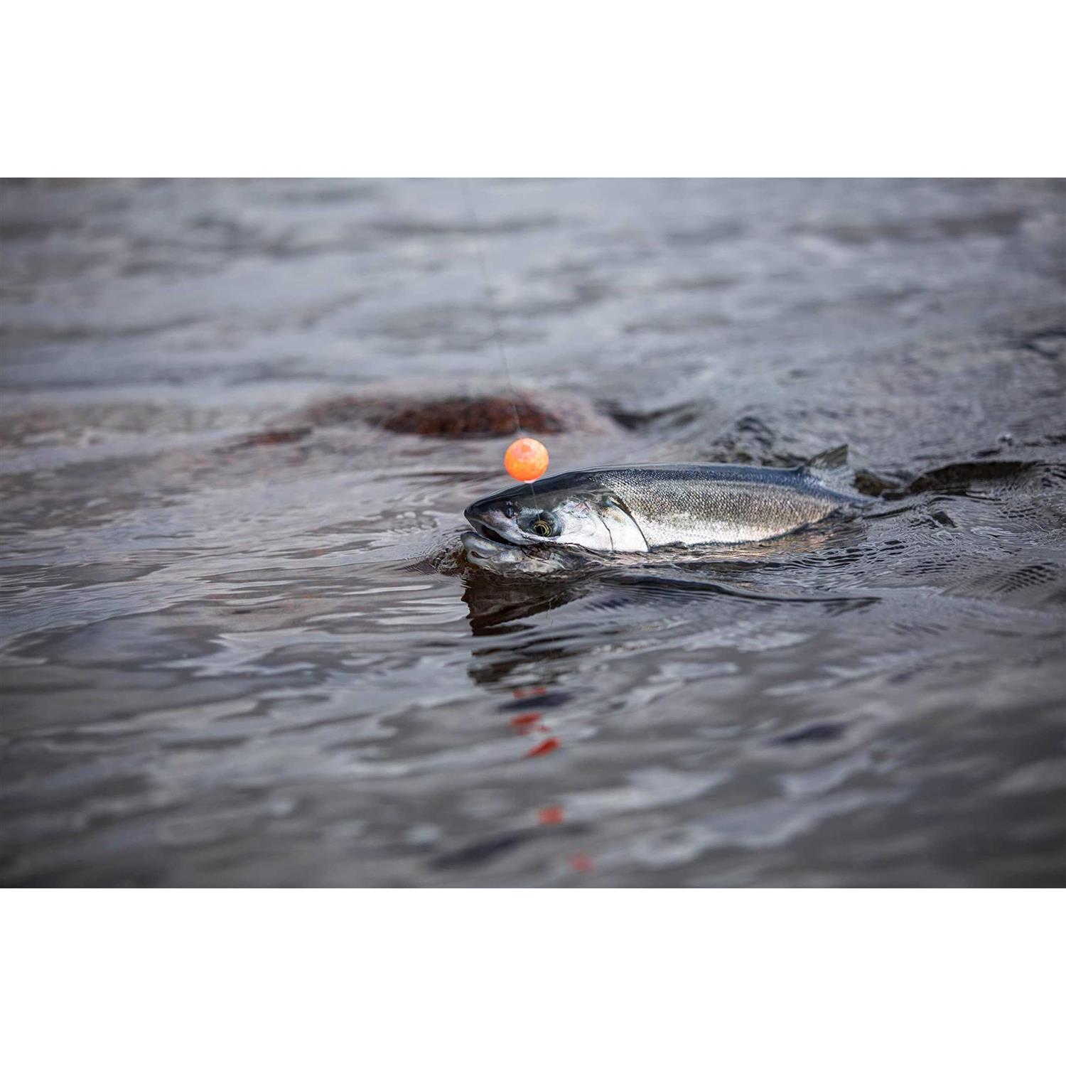 BnR Tackle BnR SW Washington Soft Bead Pro Pack - Image 2