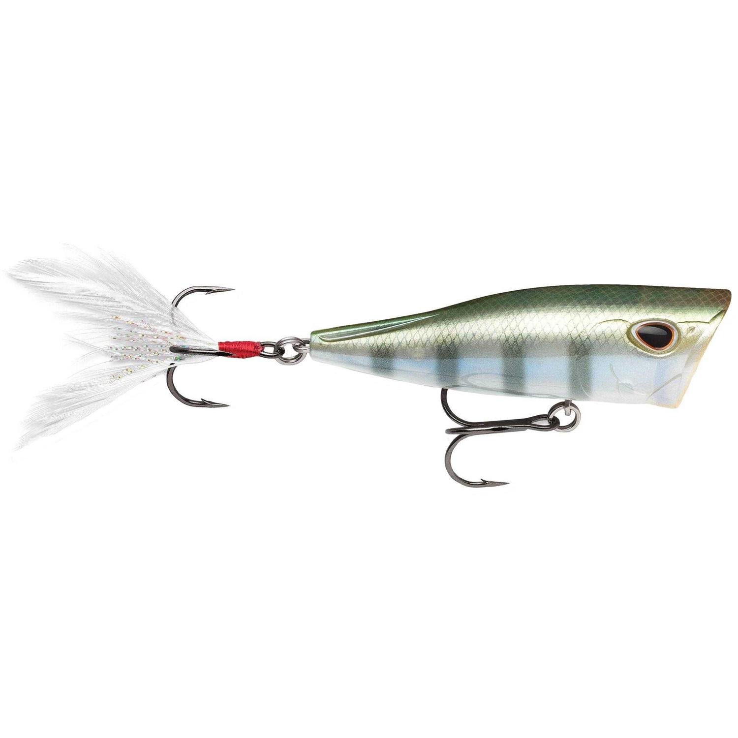 Storm Arashi Glide - Image 3