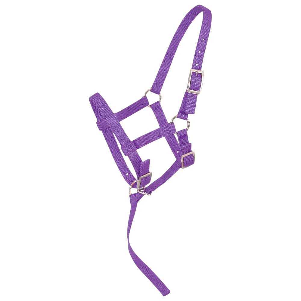 Tough 1 Adjustable Suckling Halter