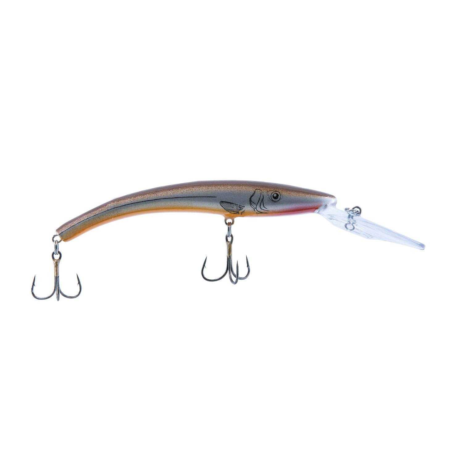 Reef Runner 800 Series Deep Diver - Image 3