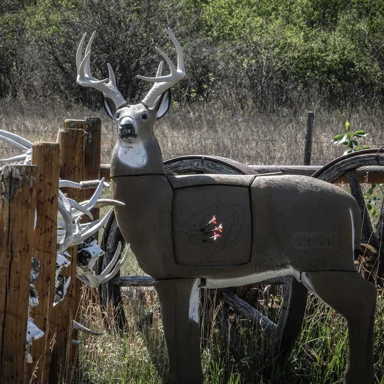Glendel Buck 3D Target - Image 2