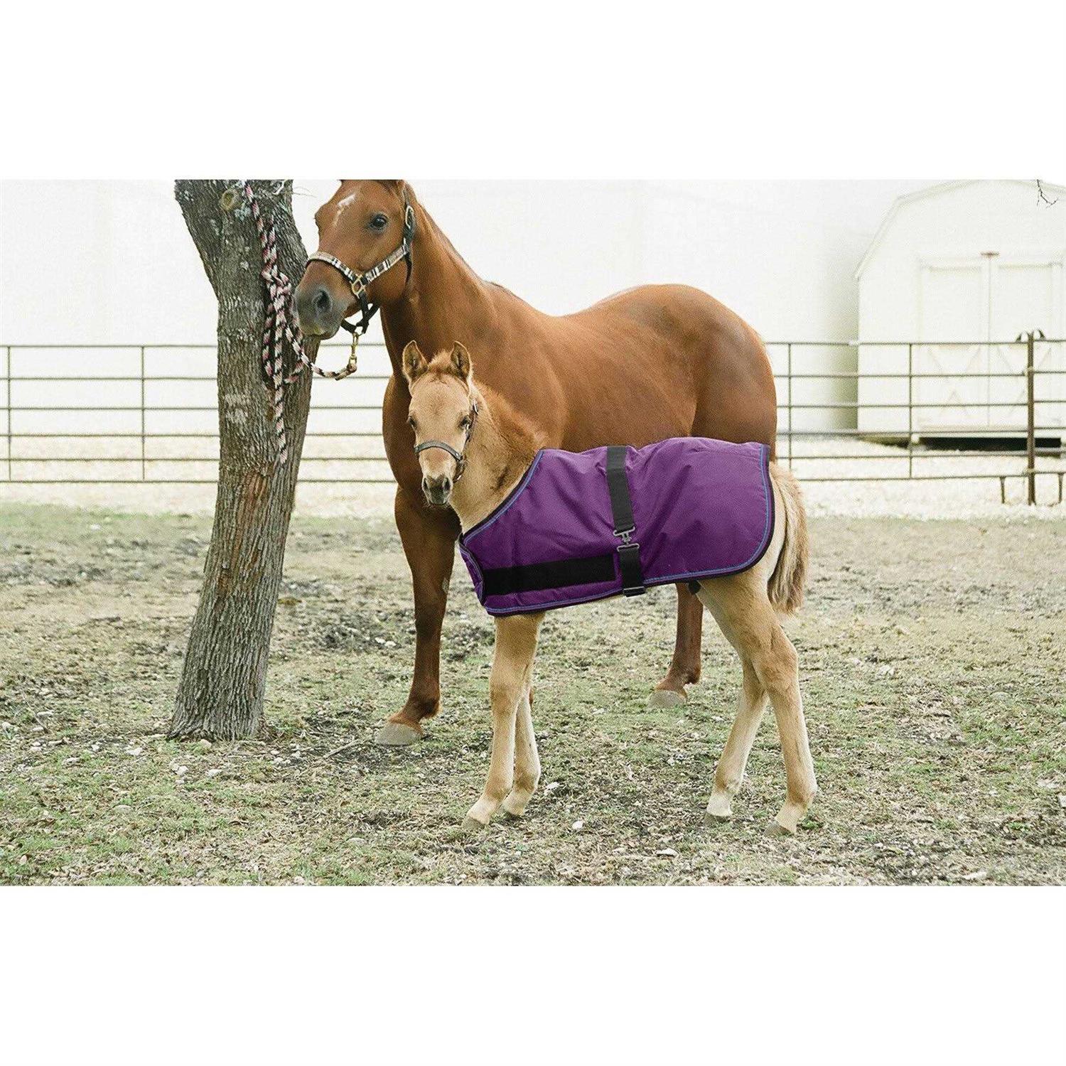 Kensington Signature Adjustable Foal Turnout - Image 4