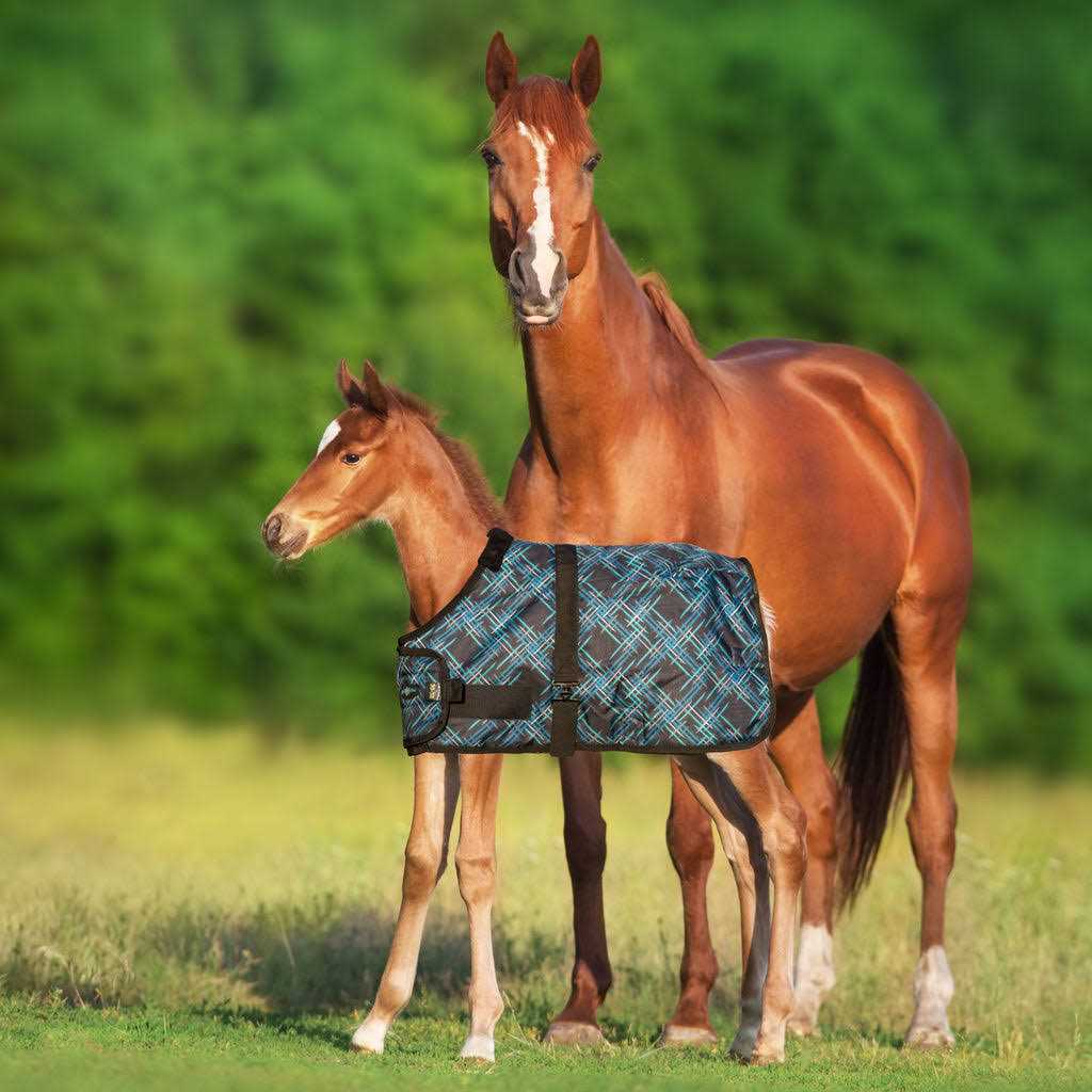 Kensington Signature Adjustable Foal Turnout - Image 5