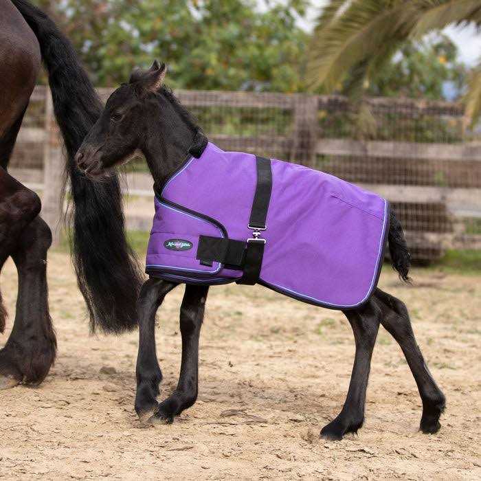 Kensington Signature Adjustable Foal Turnout - Image 3