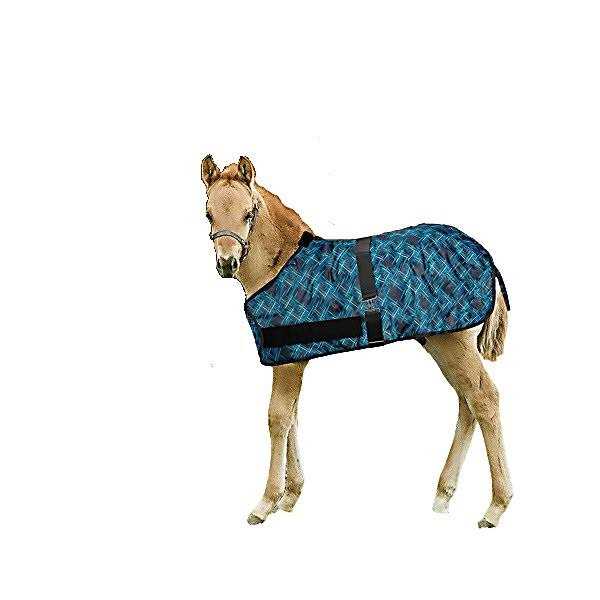 Kensington Signature Adjustable Foal Turnout - Image 5
