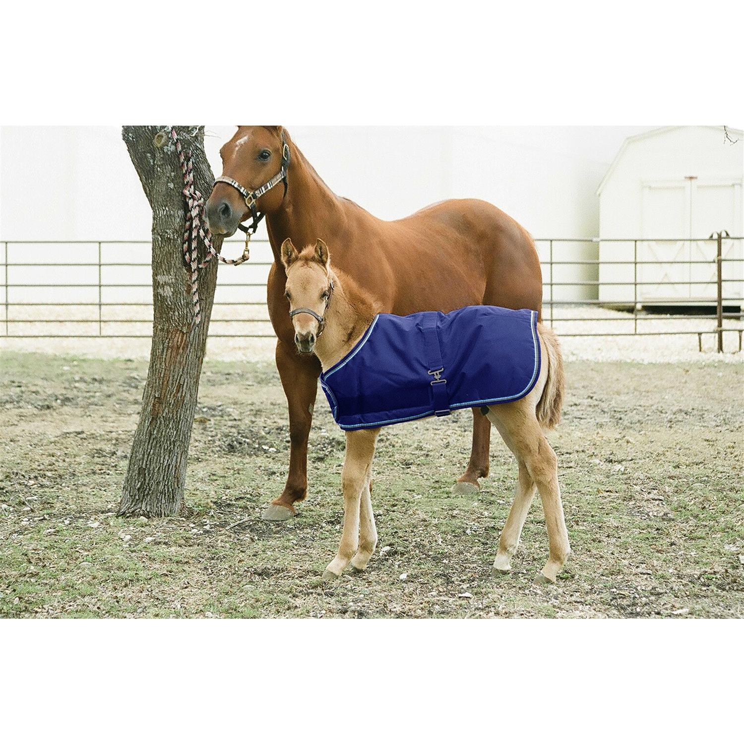 Kensington Signature Adjustable Foal Turnout - Image 3
