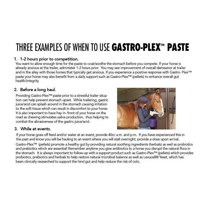 MVP Gastro-Plex Paste - Image 3