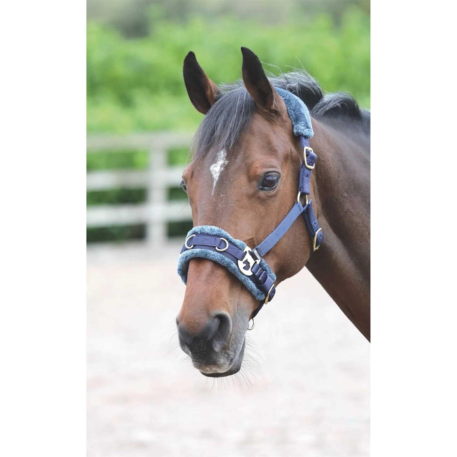 Shires Fleece Lined Lunge Cavesson - Image 3