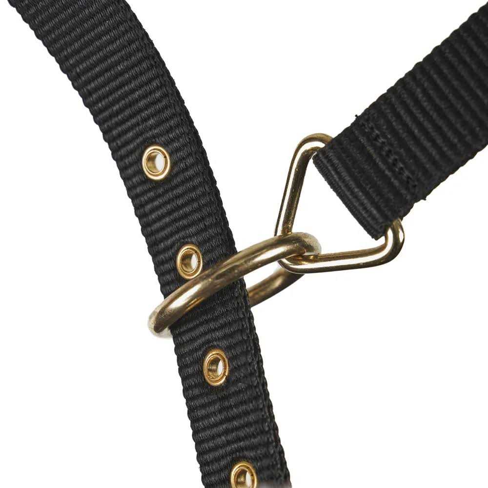 Shires Fleece Lined Lunge Cavesson - Image 4