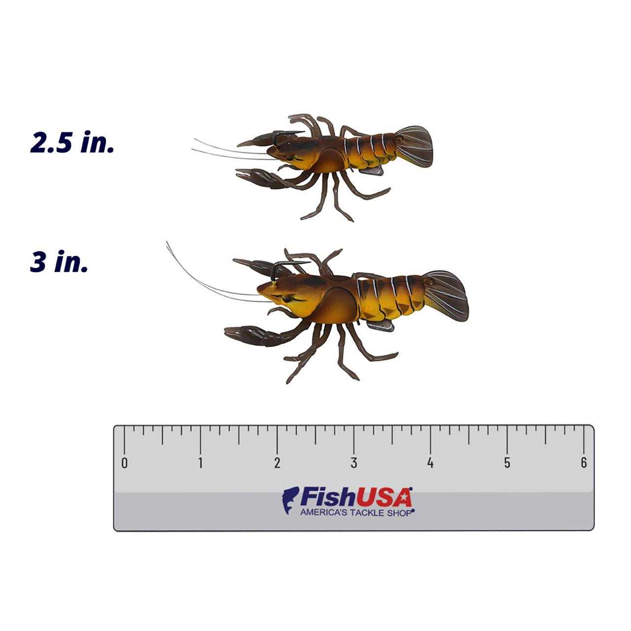 LIVETARGET Live Craw Finesse Bait - Image 5