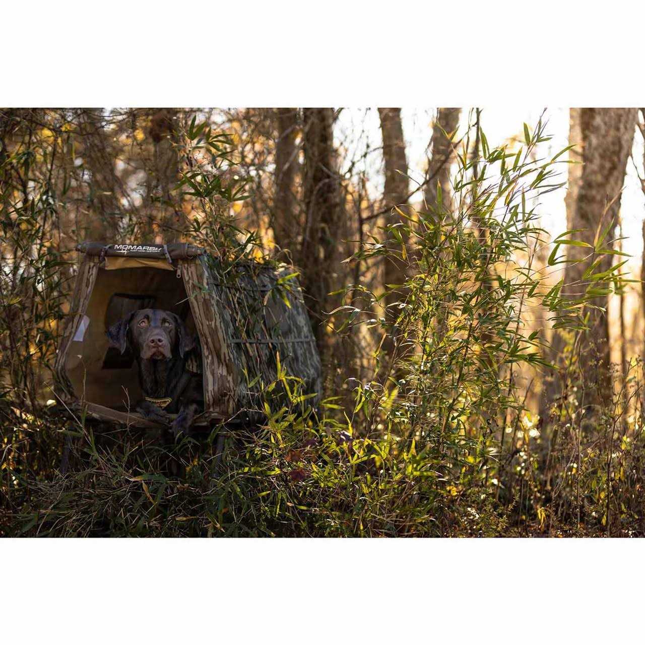MOmarsh Invisi-Lab Dog Blind - Image 5