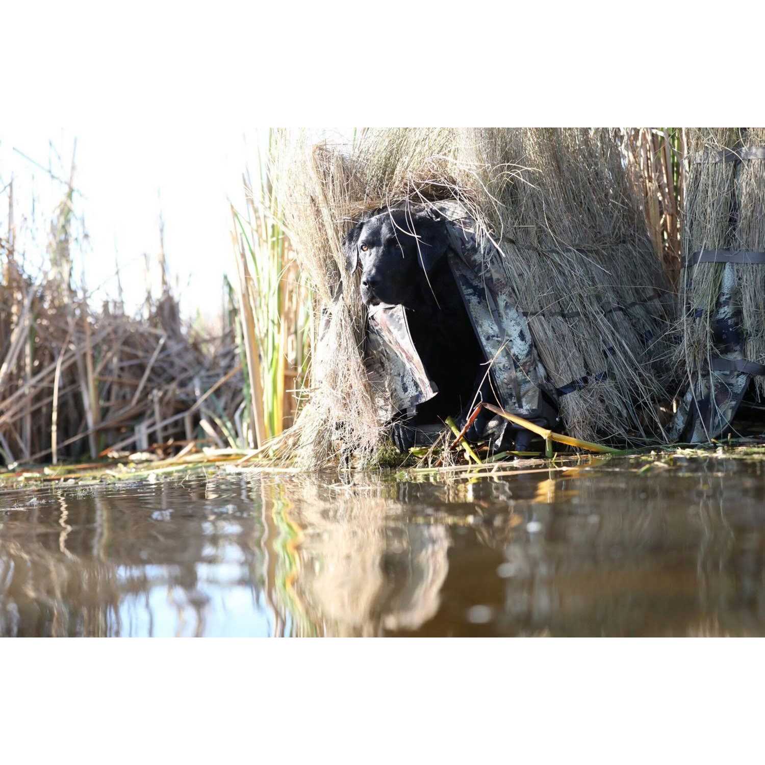 MOmarsh Invisi-Lab Dog Blind - Image 5