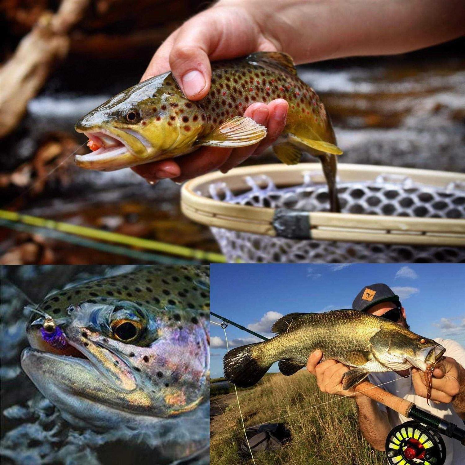 Maxcatch Fly Fishing Tapered Leader Line 6 Pack -Pre-Tied Loop - Image 3