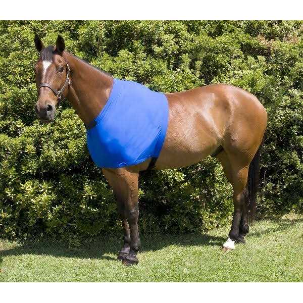 Gatsby Lycra Shoulder Guard - Image 4