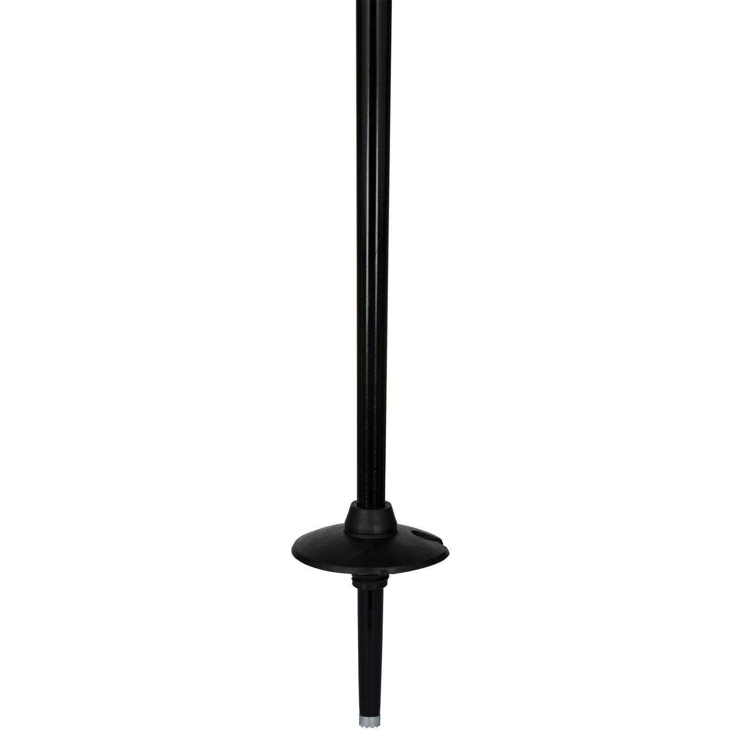 Rossignol Electra Ski Poles - Image 3