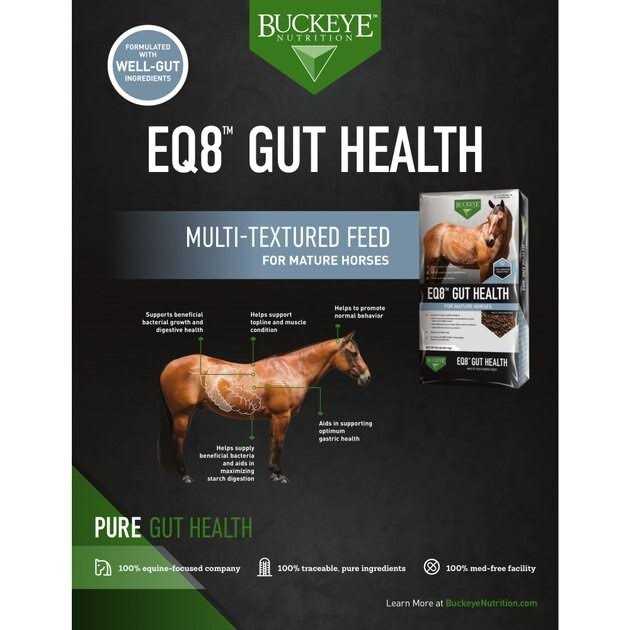 Alternative view of Buckeye Nutrition EQ8 Gut Health Mature Horse Feed