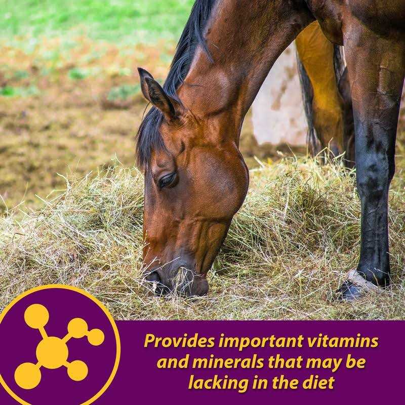Farnam Red Cell Horse Supplement - Image 4