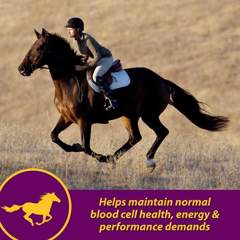 Farnam Red Cell Horse Supplement - Image 5