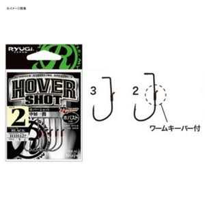 Ryugi Hover Shot - Image 4