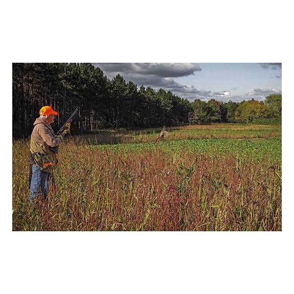 Domain Outdoor Dirty Bird Food Plot Mix - Image 4