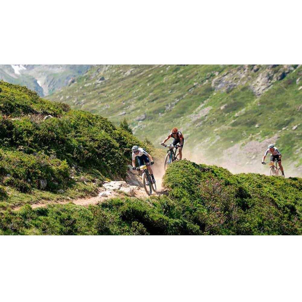 Tubolight EVO Insert SL - Image 5