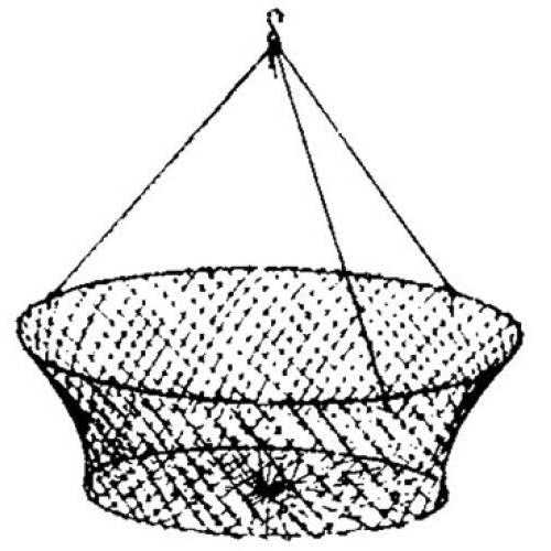 Eagle Claw Double Ring Crab Net - Image 4