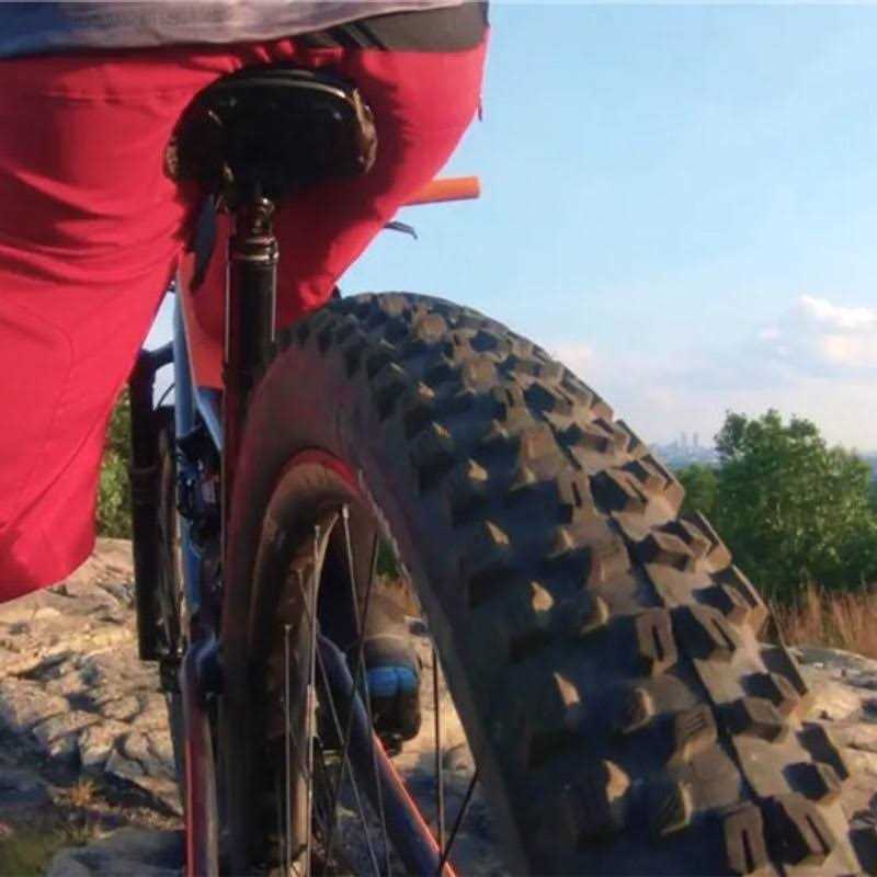 Vittoria Agarro Tire - Image 5